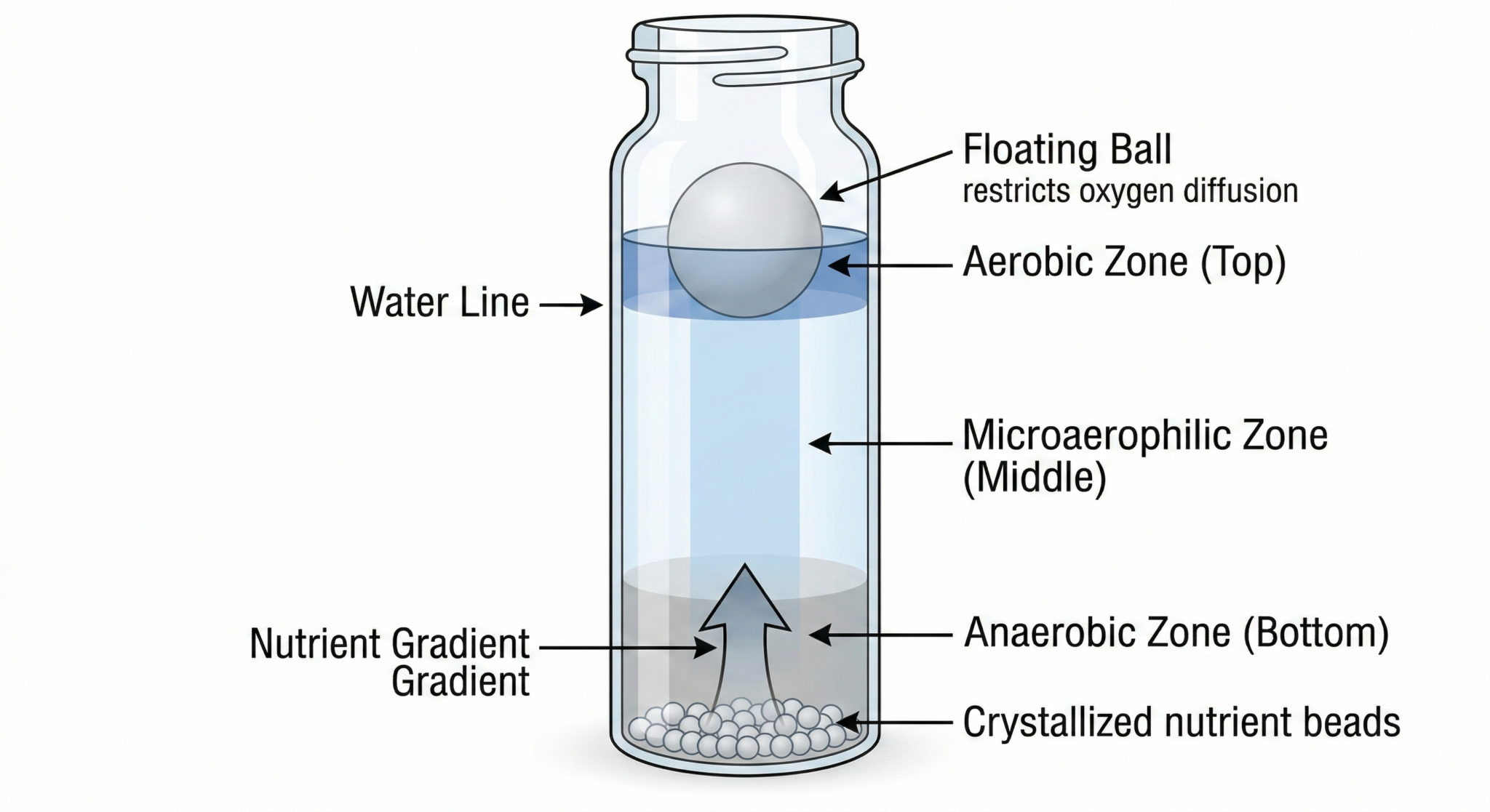 Biological Activity Reaction Test (BART): A Comprehensive Guide | The ...