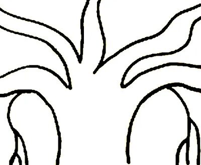 Banartis Paarmeez Laboratories LLC