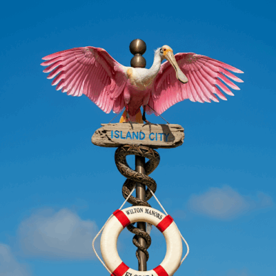 Island City Urgent Care and Medical Center