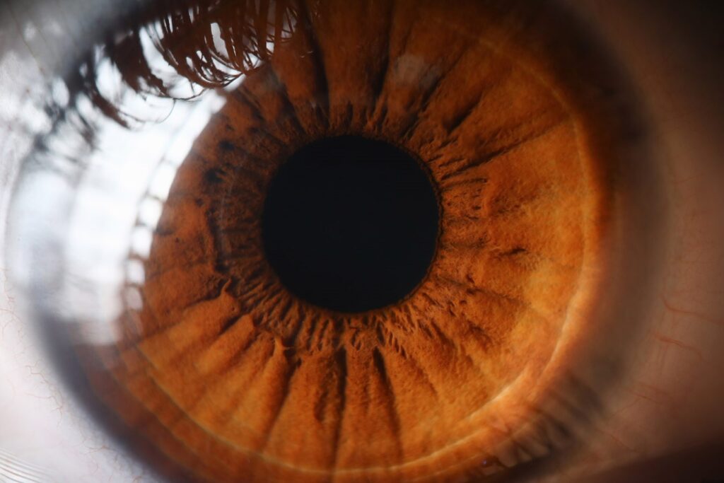 Close up on a human eye representing how Certified Labs is a TIC for eye products