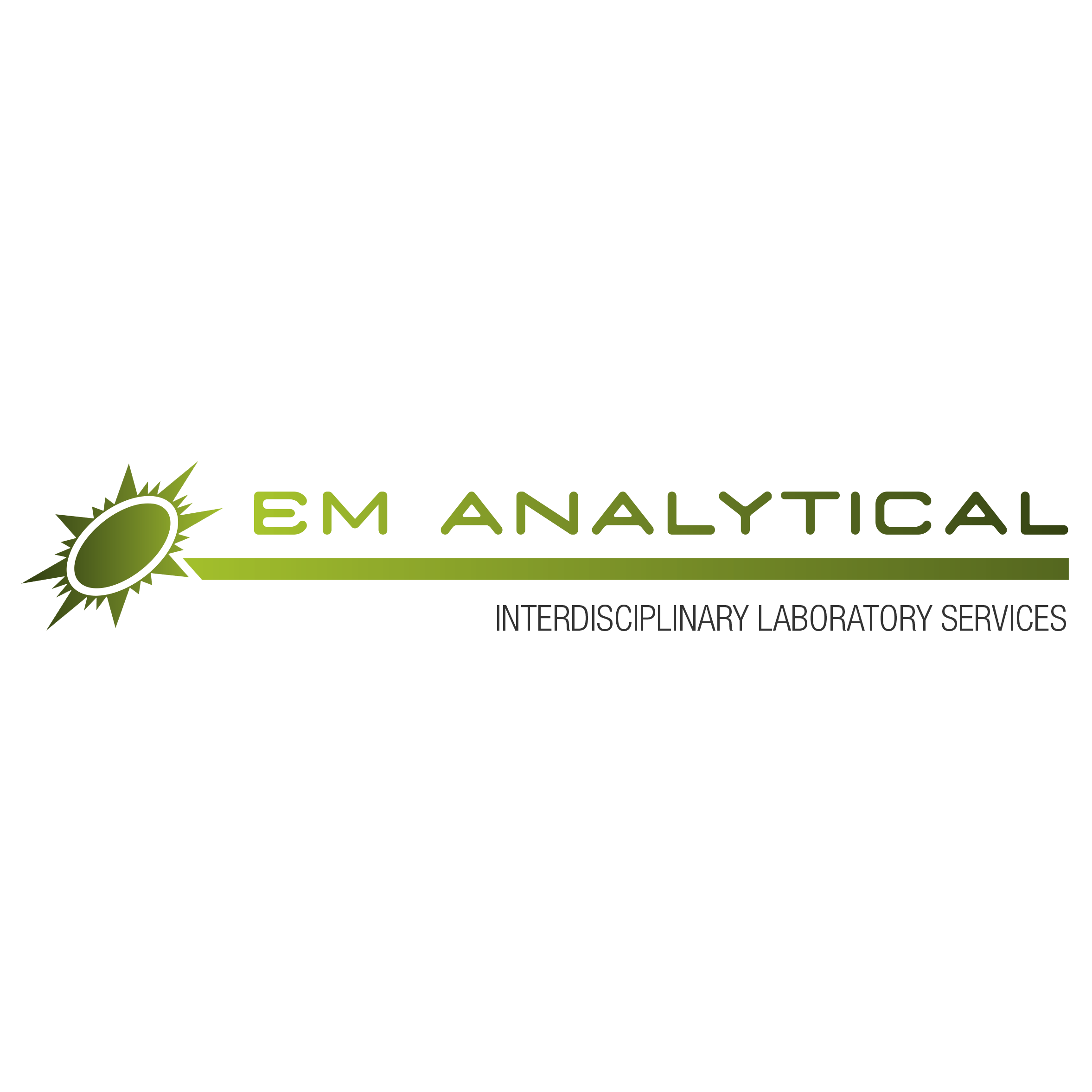 EM Analytical