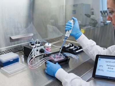 Scientist using a single-channel micropipette on a microfluidic organ-on-a-chip assay inside a sterile Class II Biosafety Cabinet, with a digital tablet displaying gut-on-a-chip perfusion metrics outside the sash for FDA NAMs nonclinical drug safety testing.
