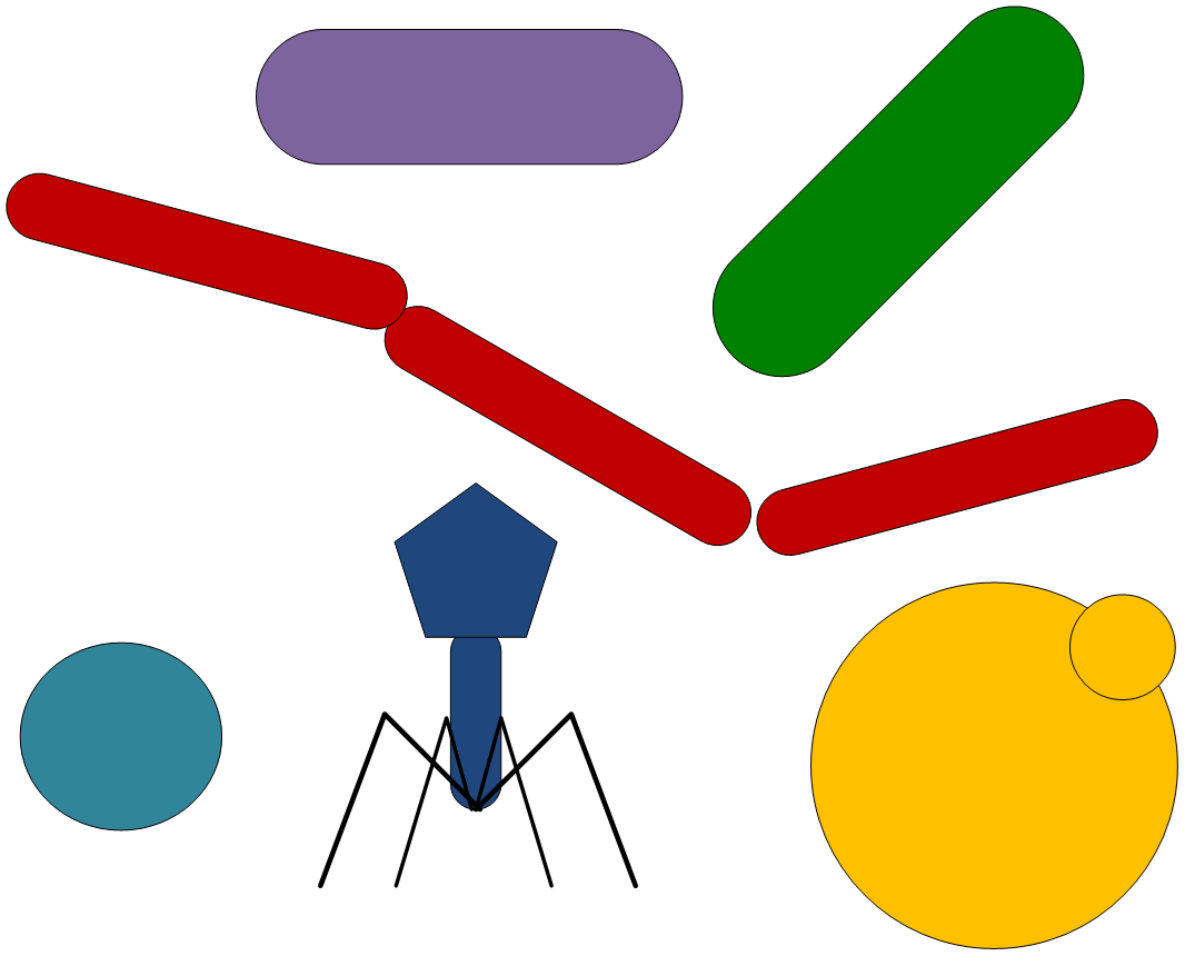 Interface Laboratories