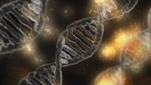 Image of DNA ilustrating the Double Helix