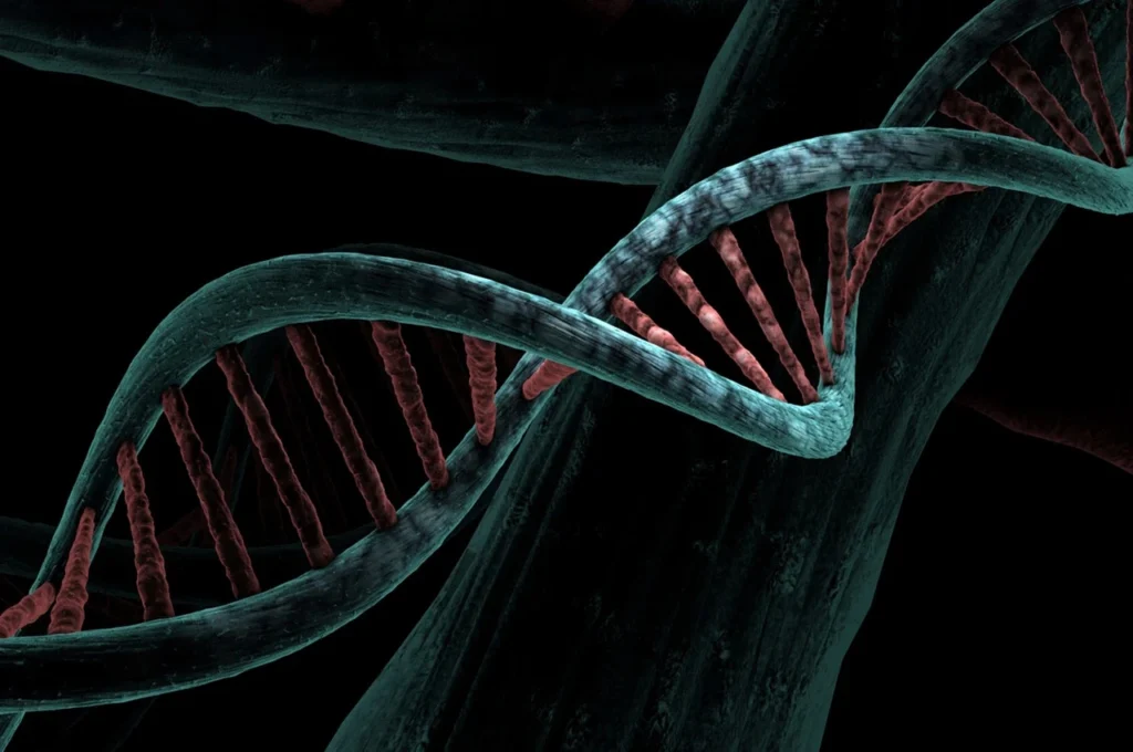 Close-up 3D illustration of a DNA double helix with teal strands and red base pairs against a dark background.