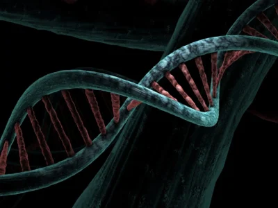 Close-up 3D illustration of a DNA double helix with teal strands and red base pairs against a dark background.