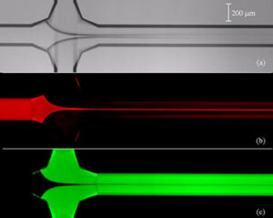 Newly Patented NIST Technique Creates Precisely Sized Nanocontainers Useful for Drug Delivery