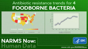 National Antimicrobial Resistance Monitoring System for Enteric Bacteria (NARMS)