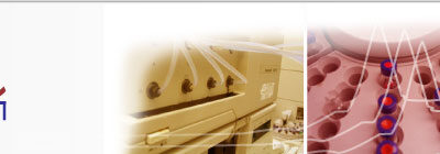 Primera Analytical Solutions Corp