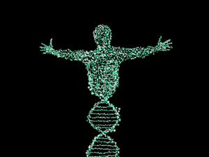 Bacteria Whole Genome Sequencing WGS